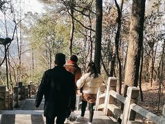-灵岩山风景区