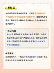 -玛莲朵·海菲秀冰珀科