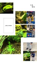 -未来动物城主题公园(正弘城店)