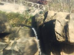 -宁海森林温泉