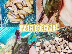 -北戴河庆山饭店·海鲜砂锅粥(北戴河黑石路店)