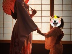 -重庆南山海昌汤都