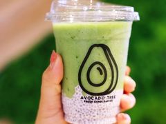 -油梨树AVOCADO TREE(嘉里中心店)