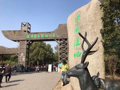 -溱湖国家湿地公园