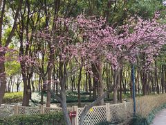 -嘉北郊野公园