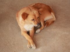 -北京东方普罗旺斯薰衣草庄园