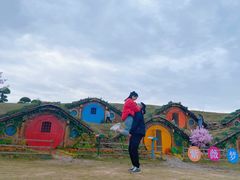 -武汉紫薇都市田园