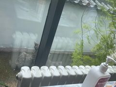 -懒人盐府人家(航天桥店)