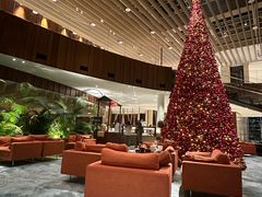 -北京望京凯悦酒店The Lounge大堂酒廊