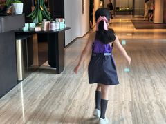 -新加坡乌节希尔顿酒店 (SG Clean)