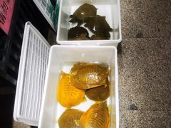 -洪湘记川湘·甲鱼馆(四海凯悦美食广场店)