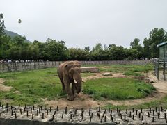 -西安秦岭野生动物园