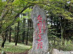 -庐山风景区花径公园