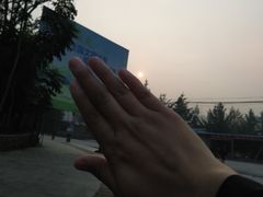 -乐山第一家临江鳝丝(茶坊路店)