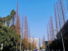 -四川农业大学(雅安校区)