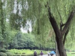 -洨河生态公园