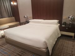 -上海龙之梦万丽酒店