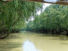 -大湾区中央湿地公园