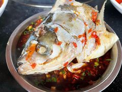 鱼头-老杨砂锅鱼庄