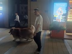 -北门胜利牛肉串·铁签酱爆烤肉