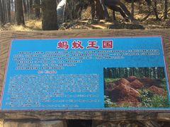 -白草畔自然风景区