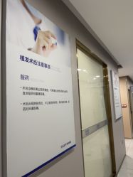 -碧莲盛不剃发植发