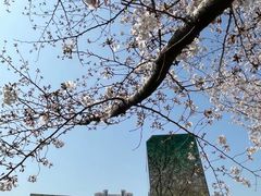 -龙美术馆(西岸馆)