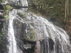 -藏龙百瀑风景区