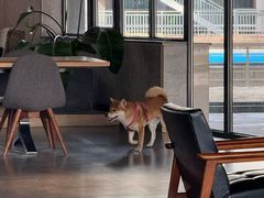 -山下C5cafe(惠通时代广场店)