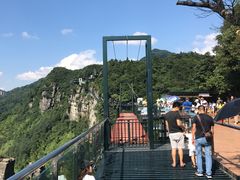 -梦幻奥陶纪景区