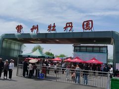 -曹州牡丹园