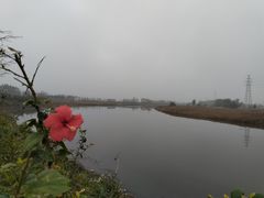 -五里桥文化公园-西侧停车场