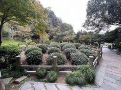 -十八棵（老龙井）御茶园(老龙井店)