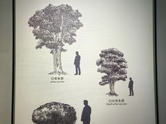 -中国茶叶博物馆(双峰馆区)