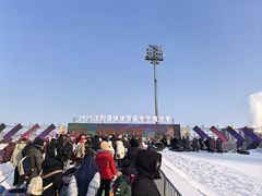 -沈阳奥体冰雪嘉年华