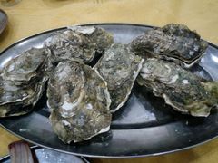 -蚝专家(北滘店)