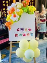 -臻康乃馨月子中心(凯宾斯基店)