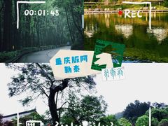 -铁山坪森林公园