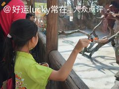 -长廊欢乐园