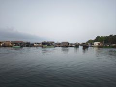 -蓝湾碧波·老字号·疍家非遗海上餐厅