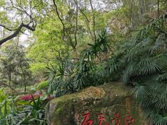 -乌山风景区