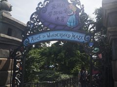 游乐设施-上海迪士尼度假区