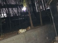 -山东大学(千佛山校区)