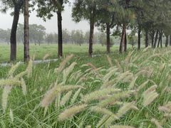 -汉长安城未央宫国家考古遗址公园