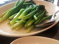 白灼芥兰-大连君悦酒店·星海湾壹号Dalian·Dalian(星海广场店)