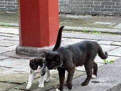 -沈阳市东陵公园