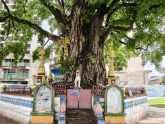 -孔雀湖生态旅游区