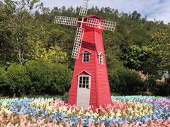 -广州白江湖森林公园