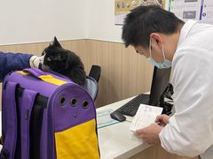 -申普宠物医院·眼科·心内科·影像科(普陀分院)