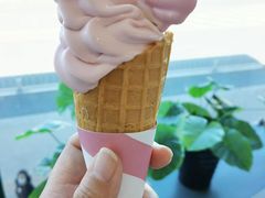 -麦当劳(农光里店)